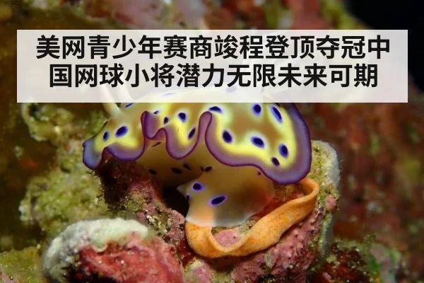 美网青少年赛商竣程登顶夺冠中国网球小将潜力无限未来可期