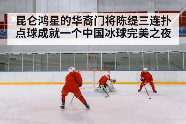 chinese ice hockey team